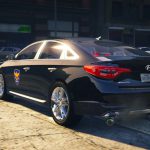 SONATA Korean unmaked police