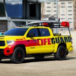 2019 Toyota Tundra Life Guard 1.0