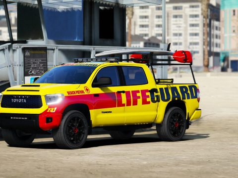 2019 Toyota Tundra Life Guard 1.0
