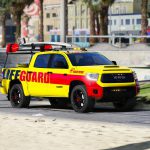 2019 Toyota Tundra Life Guard 1.0