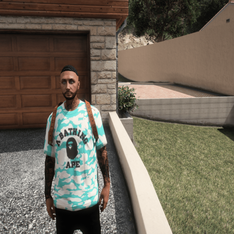 Bape T-Shirts [SP / FiveM] – GTA 5 mod