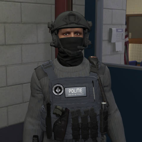 Dutch EUP - DSI - Politie/Police - Helm/vest 1.0 – GTA 5 mod