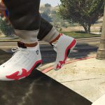 Jordan 14 pack XIV.2