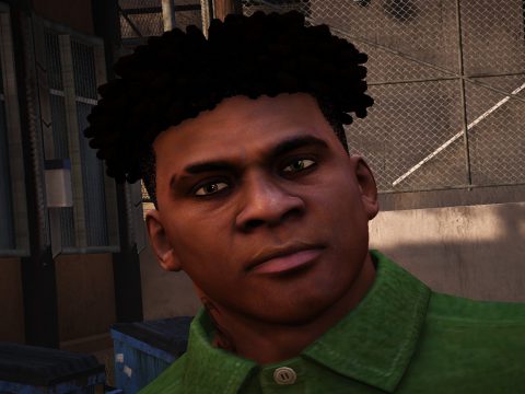 KatoBandzio Dreads for franklin