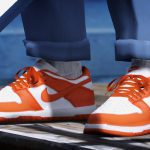 Nike SB Dunk Lows for Frank/MP 1.2