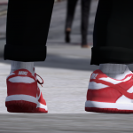 Nike SB Dunk Lows for Frank/MP 1.2
