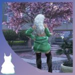 Pull dress 1.0