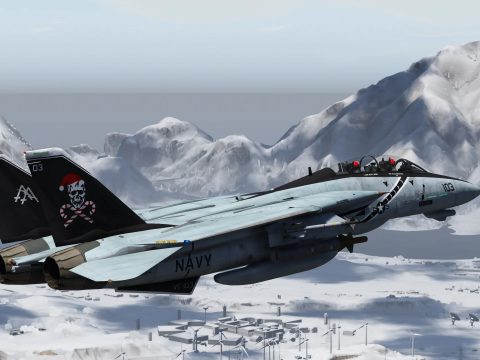 F-14D Super Tomcat [Add-On] 1.0
