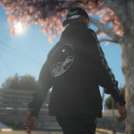 Hoodie Chinese Collection for MP Male [SP / FiveM] 1.1