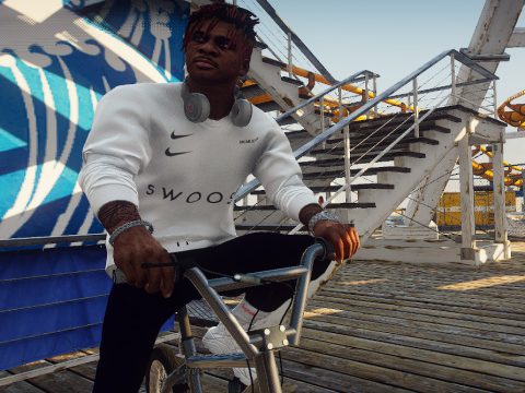Nike SWOOSH sweaters 1.0