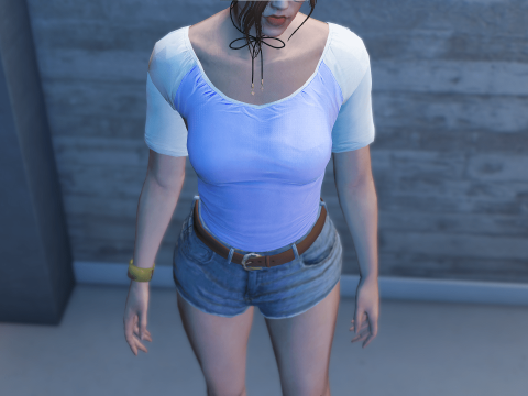 Simple Top for MP Female Textures [SP / FiveM] 1.0