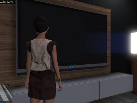 VeniceTVNStuff 1.1