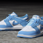 2021 Nike Dunk Colorways 1.0