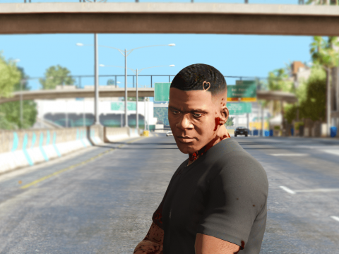 Drake haircut for Franklin 1.0