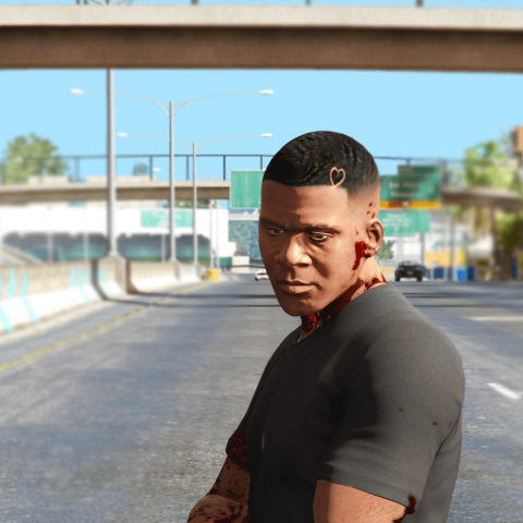 Drake haircut for Franklin 1.0 – GTA 5 mod