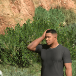 Drake haircut for Franklin 1.0
