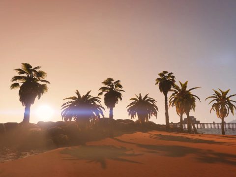 Palms on beach 1.0