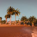 Palms on beach 1.0