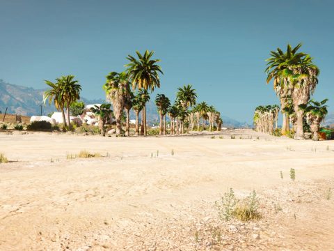 Palms on sandy shores airport [Map Editor] 1.0