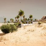 Palms on sandy shores airport [Map Editor] 1.0