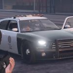 Cop Car Variations 1.0
