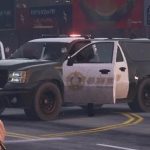 Cop Car Variations 1.0