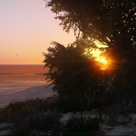 LA Vegetation [OIV] 2.0