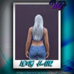 Long hair with a braid for MP Female 1.0