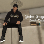 Palm Angels Hoodie Pack for MP Male