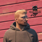 Short Hair for MP Male