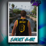 Short Hair v2 for MP Male 1.0