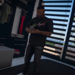Rounded Shirt Pack for MP Male 1.0