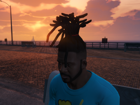 Dreads & Braids Pack for Frank 1.0