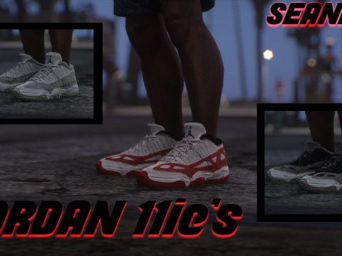 Jordan 11 Retro Low IE