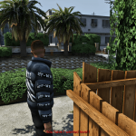 Realism Advanced 1.6 (with special Abilities)