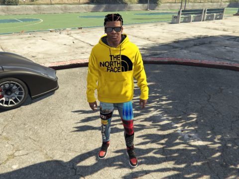 The North Face logo Hoodie Pack 1.1