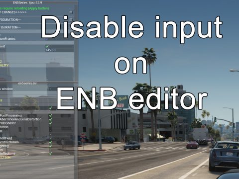 Disable input on ENB editor 1.0