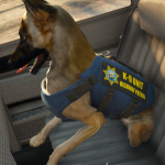 German Shepherd Police Skins 1.0