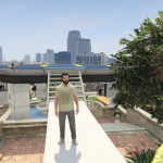 Michael's Helipad V1