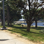 Mirror Park Remastered [YMAP / FiveM] 1.0
