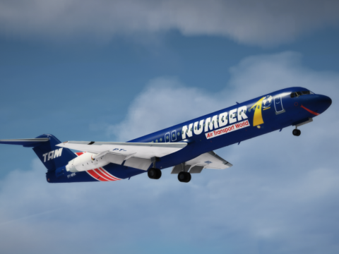 Fokker 100 [Add-On | Liveries] 1.1