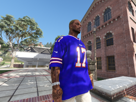 NFL - Buffalo Bills Josh Allen 4k jersey (2020-21) 1.0