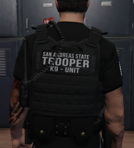 [EUP] SAST Vest Pack [SP / FIVEM] 1.0 – GTA 5 mod