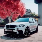 BMW X5M F85 [Add-On] 1.0