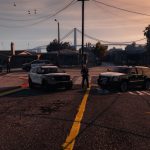 Grove Street Police Raid 2.0