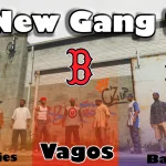 Mex to Blax (New Gang)