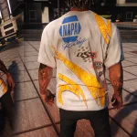 NASCAR Texture Pack for MP Male 1