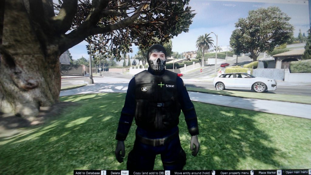 S.W.A.T ghost mask 1.0