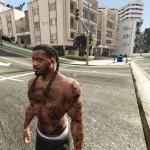 Braids 1.0 final