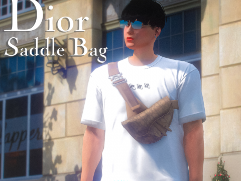 Dior Saddle Bag